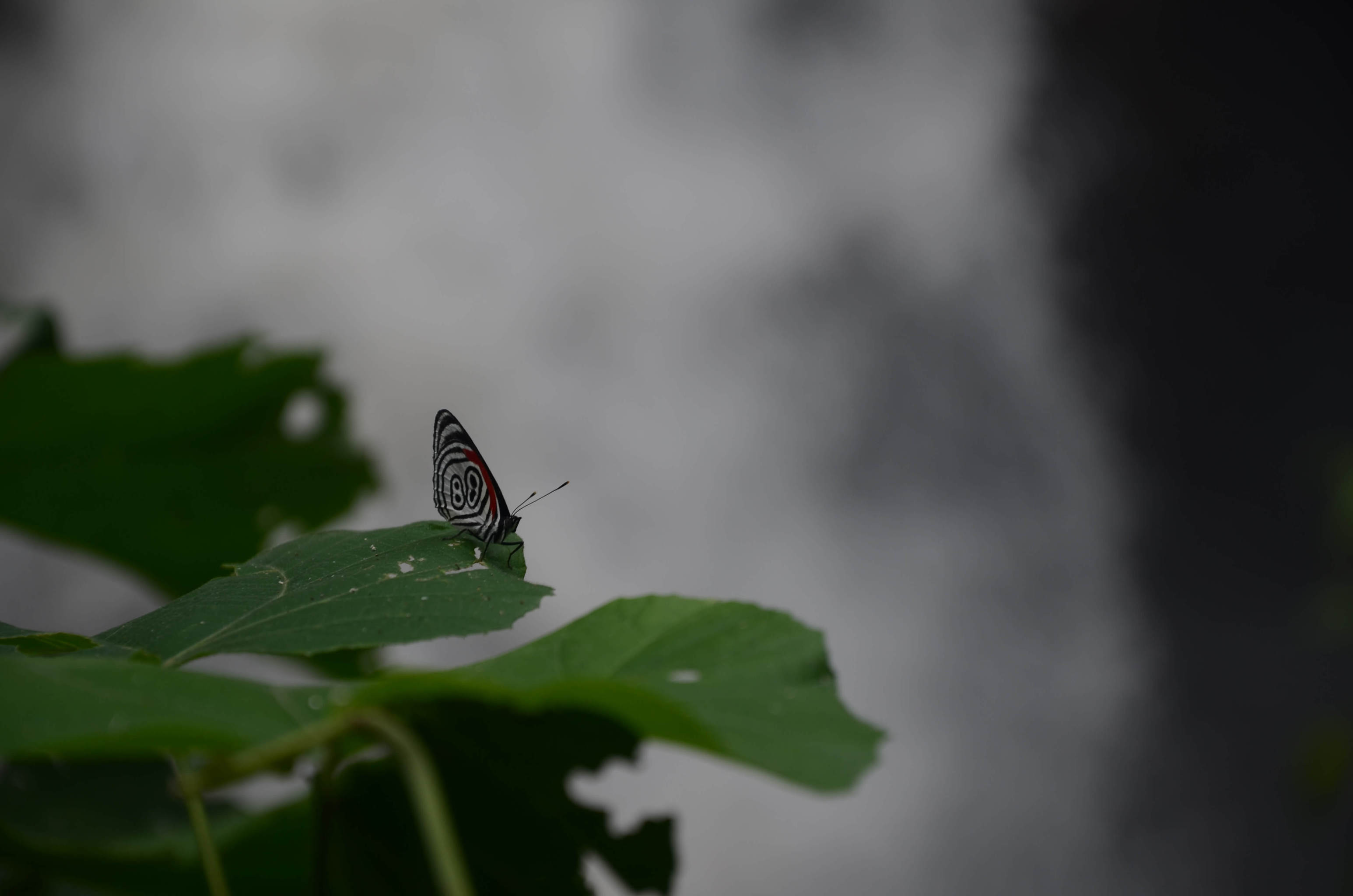 DSC_0214