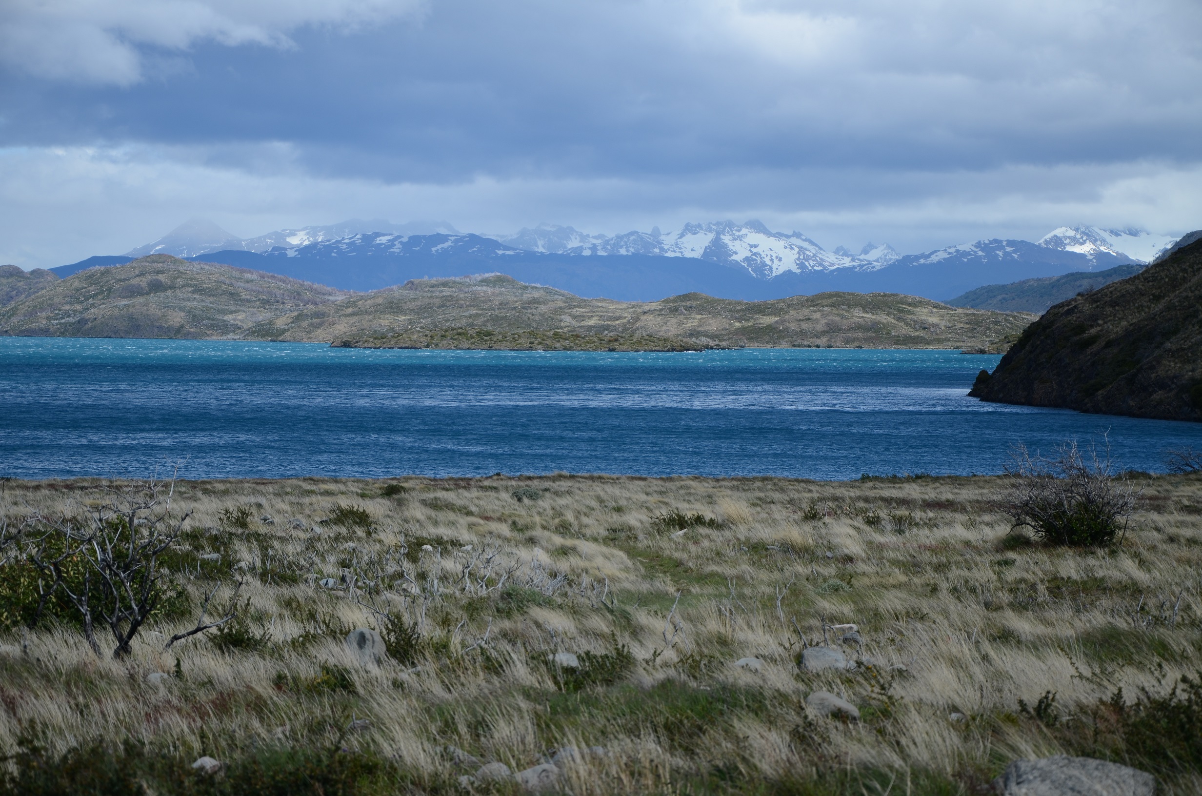 DSC_0346