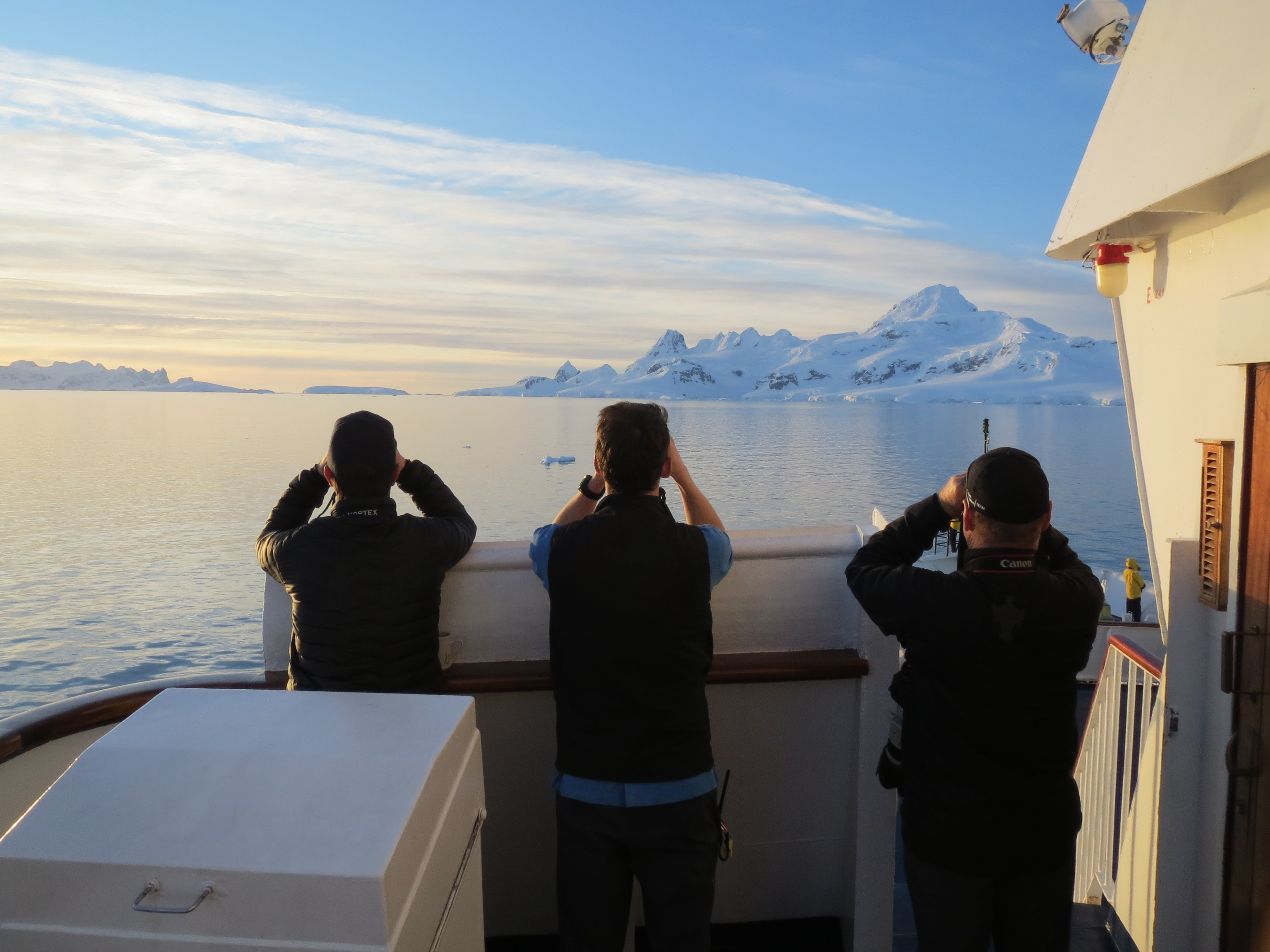 Orca watch continues