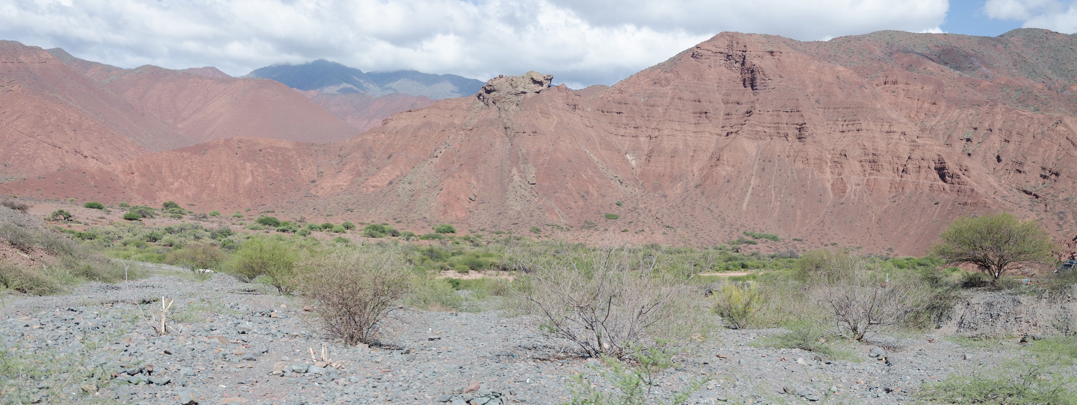 DSC_0569-Panorama