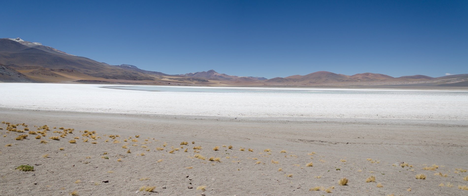 DSC_0890-Panorama