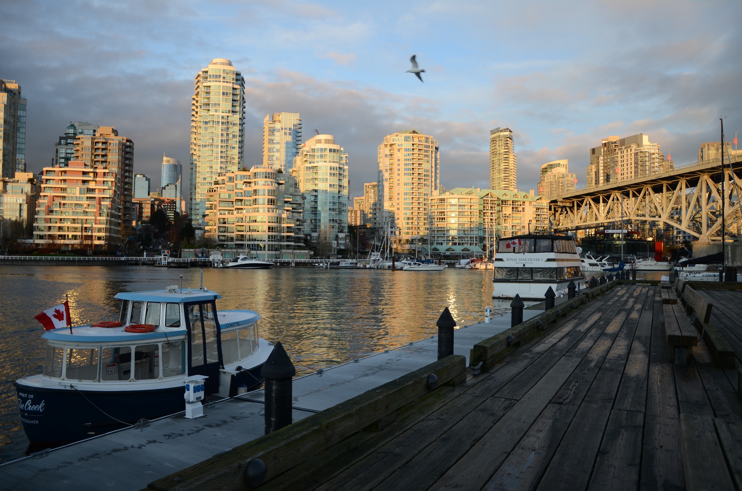 DSC_0068
