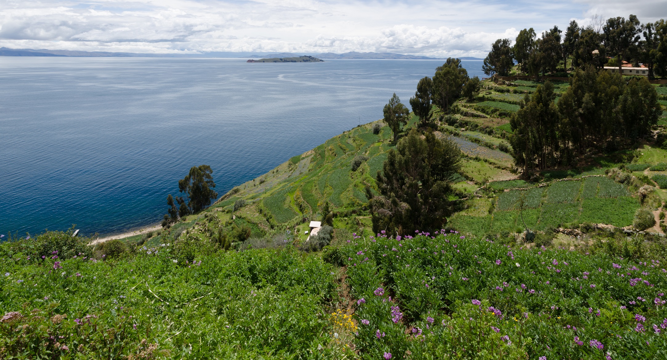 DSC_0254-Panorama