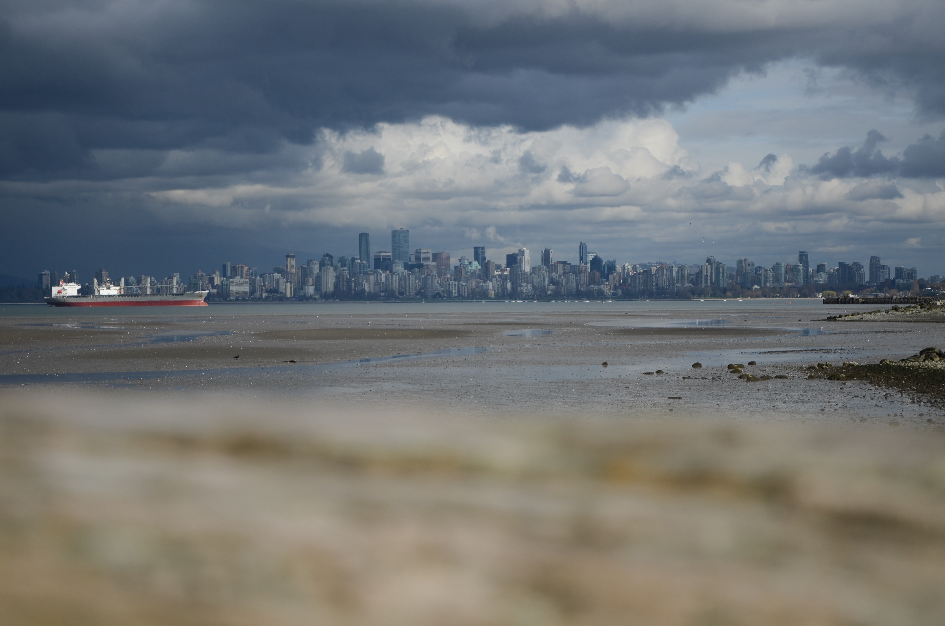 DSC_0390