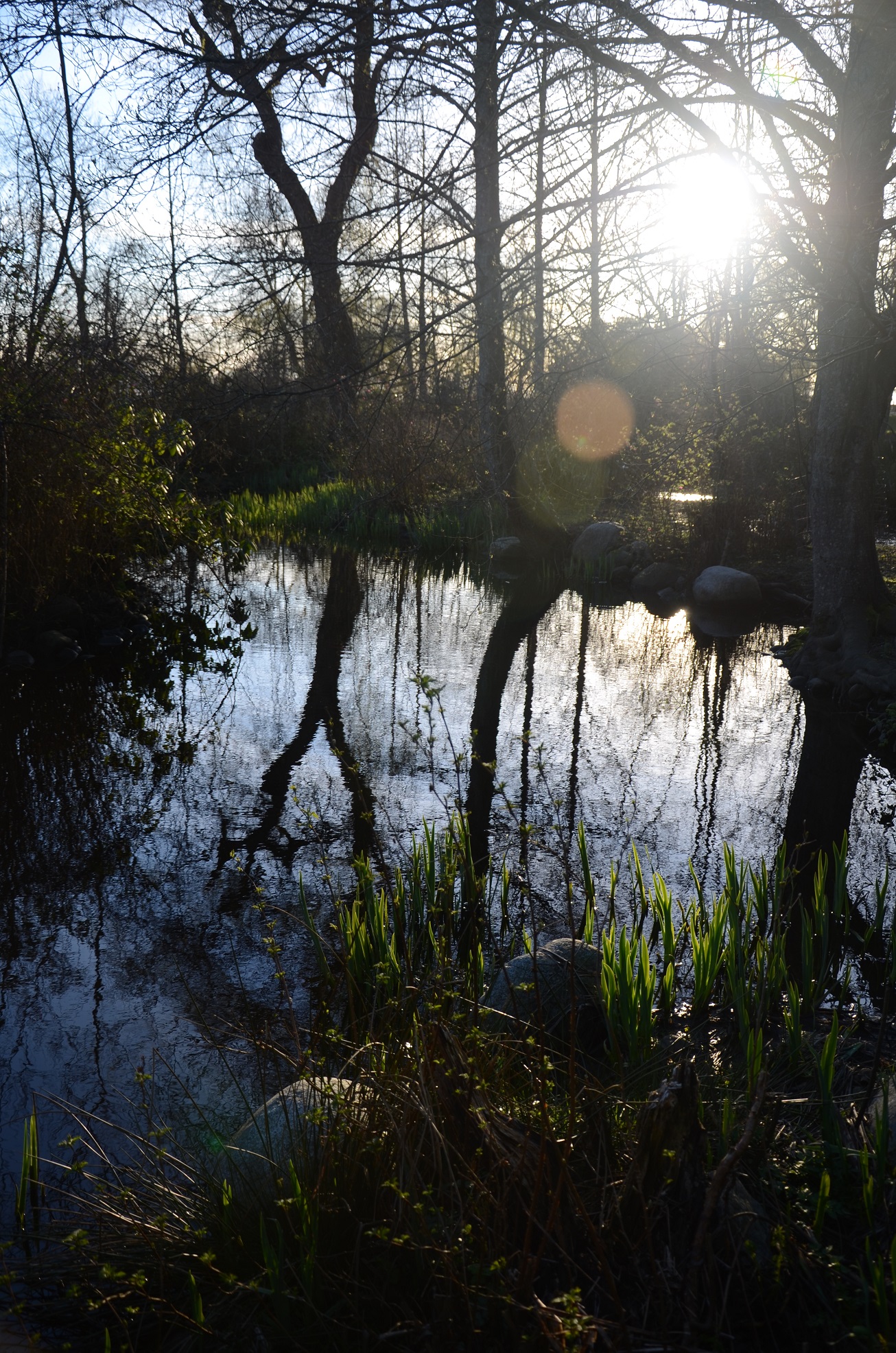 DSC_0472