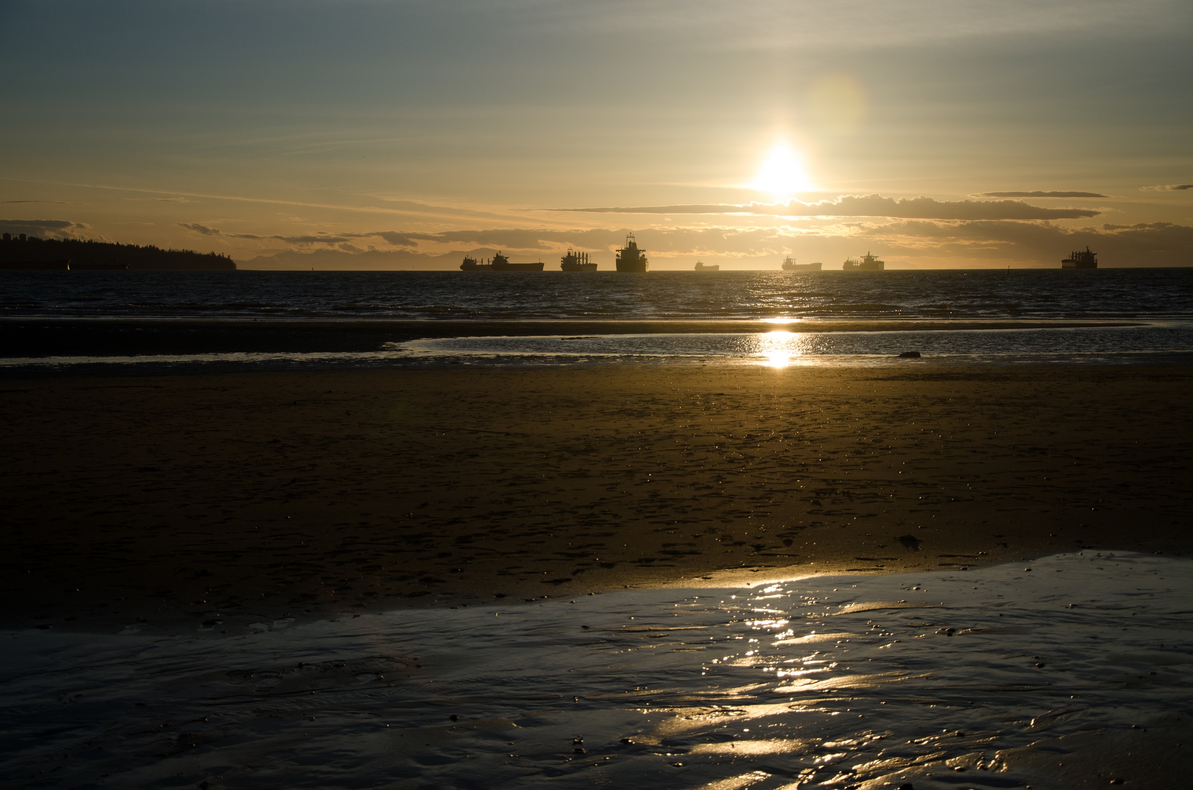 DSC_0500