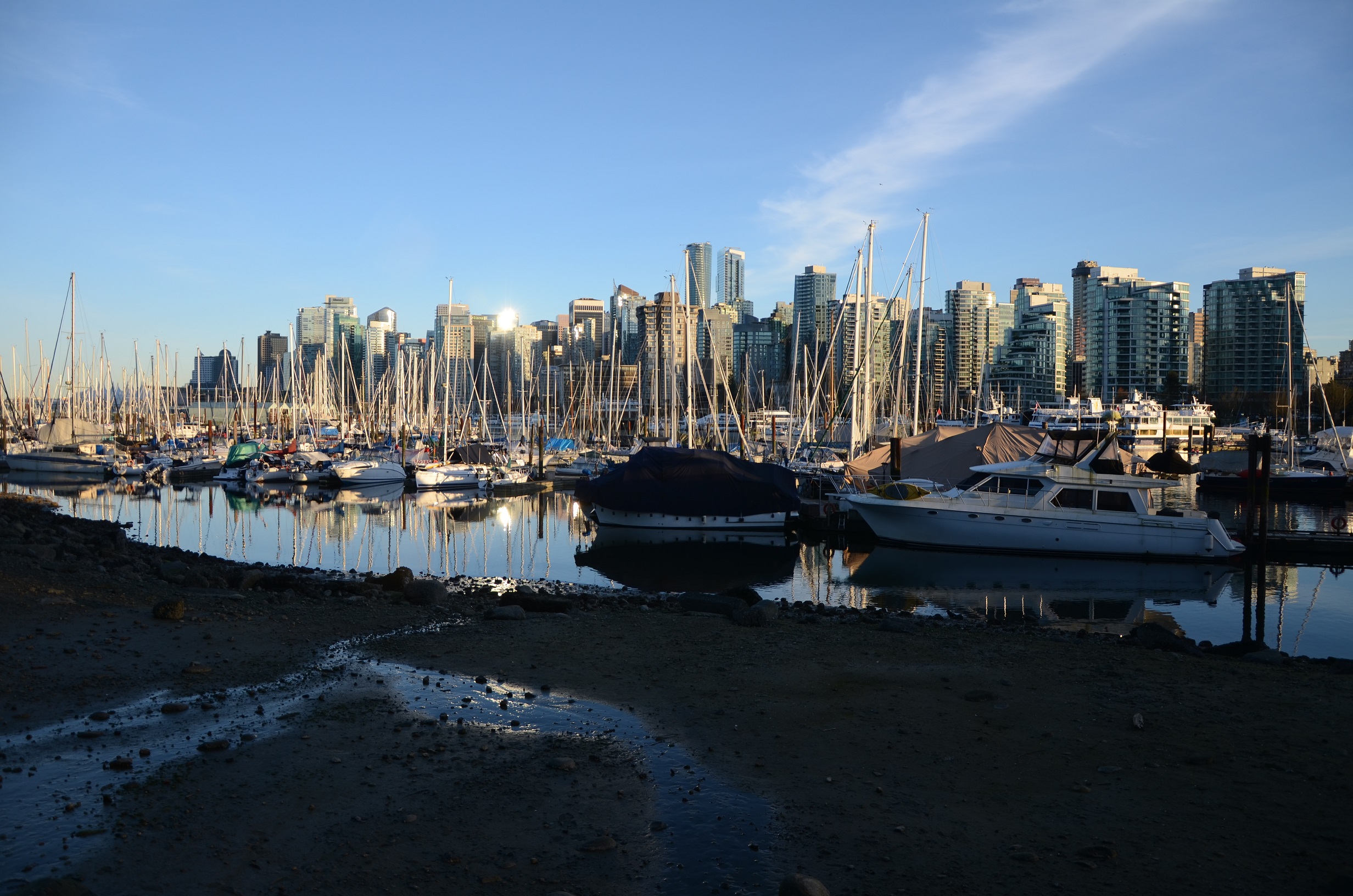 DSC_0576