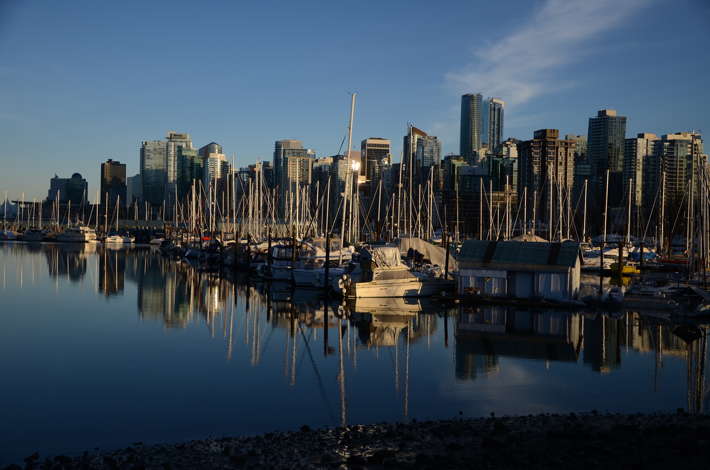 DSC_0578