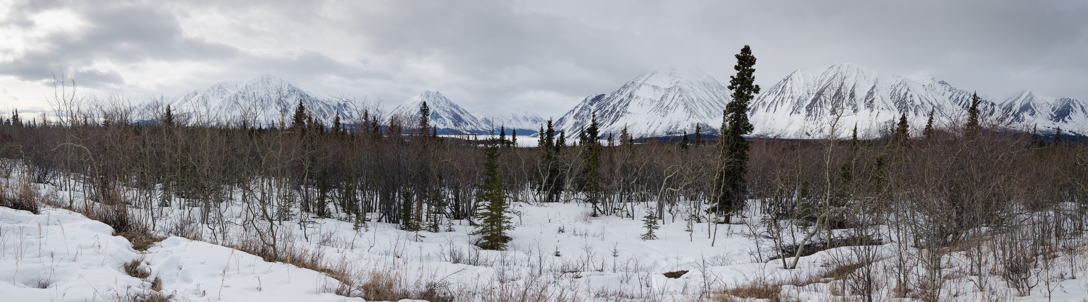 DSC_0752-Panorama