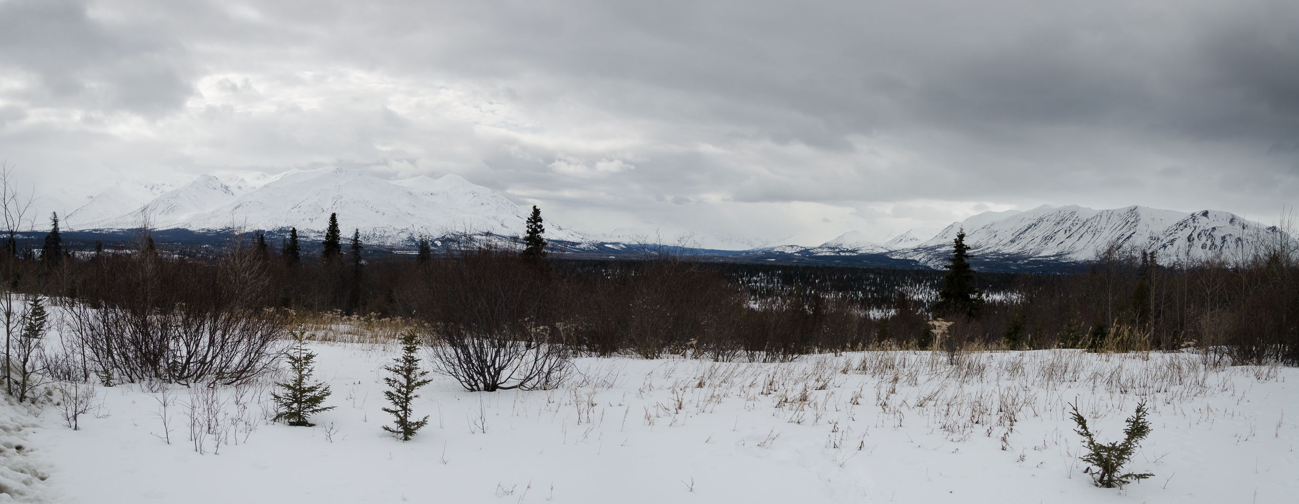 DSC_0816-Panorama